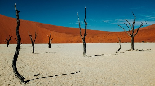 Kietlen táj Namíbiában
