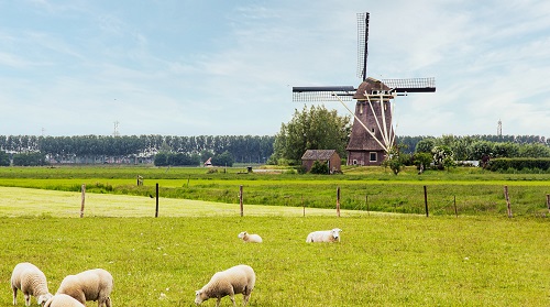 Holland táj szélmalommal