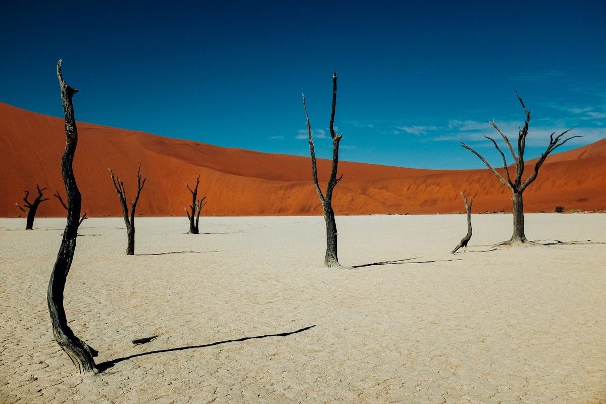 Kietlen táj Namíbiában (illusztráció)