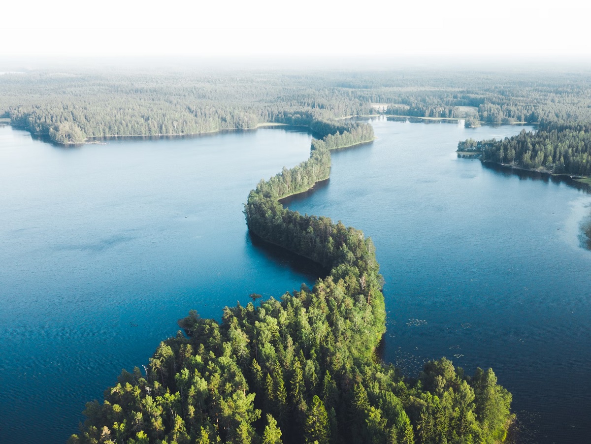 Jellegzetes finn táj a Liesjärvi Nemzeti Parkban (illusztráció) Jellegzetes finn táj a Liesjärvi Nemzeti Parkban (illusztráció)