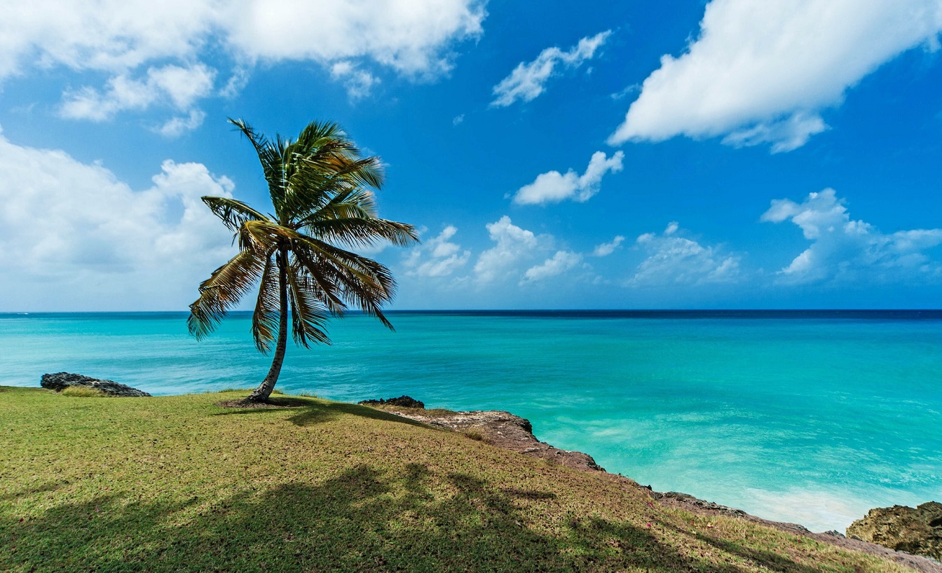 Barbadosi tájkép (illusztráció)