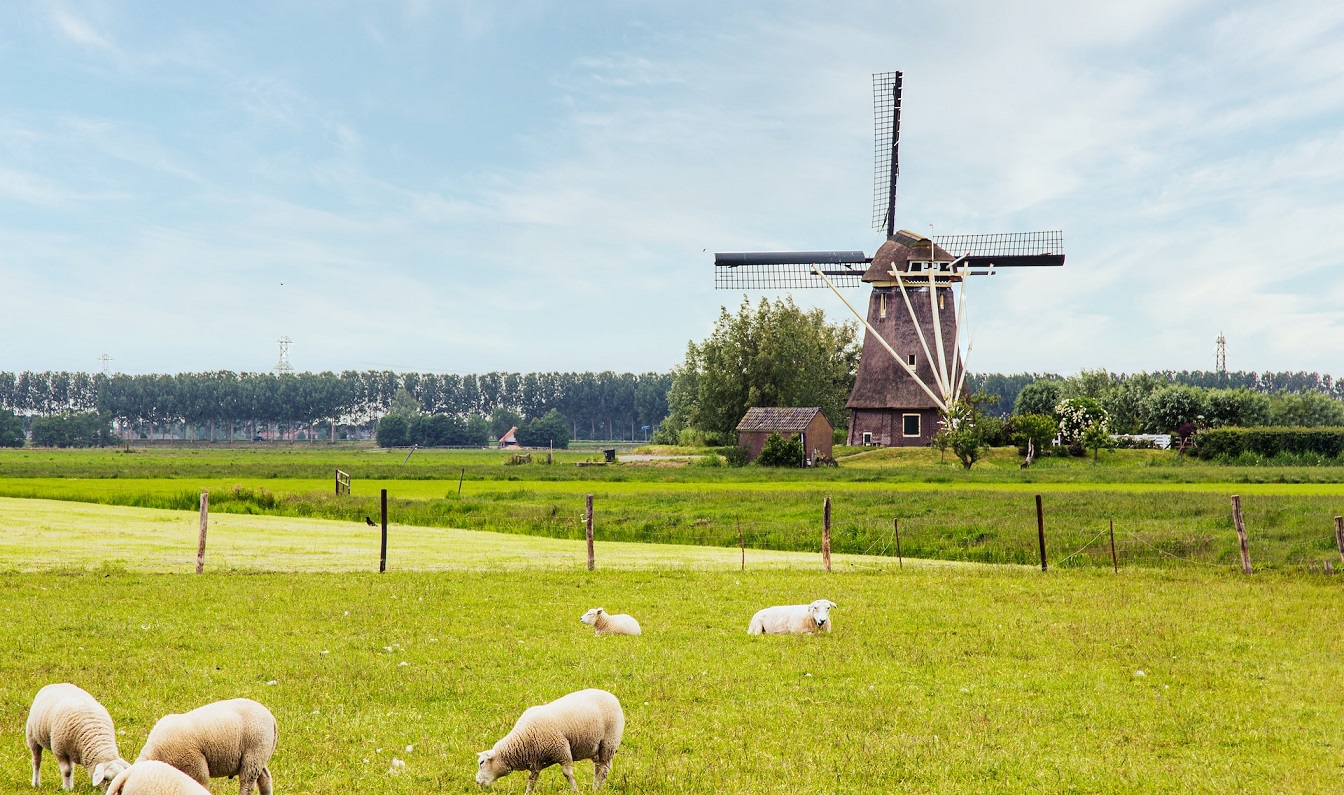 Holland táj szélmalommal (illusztráció)